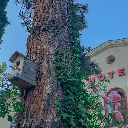 Hotel Kakhaberi Tetritskaro Εξωτερικό φωτογραφία