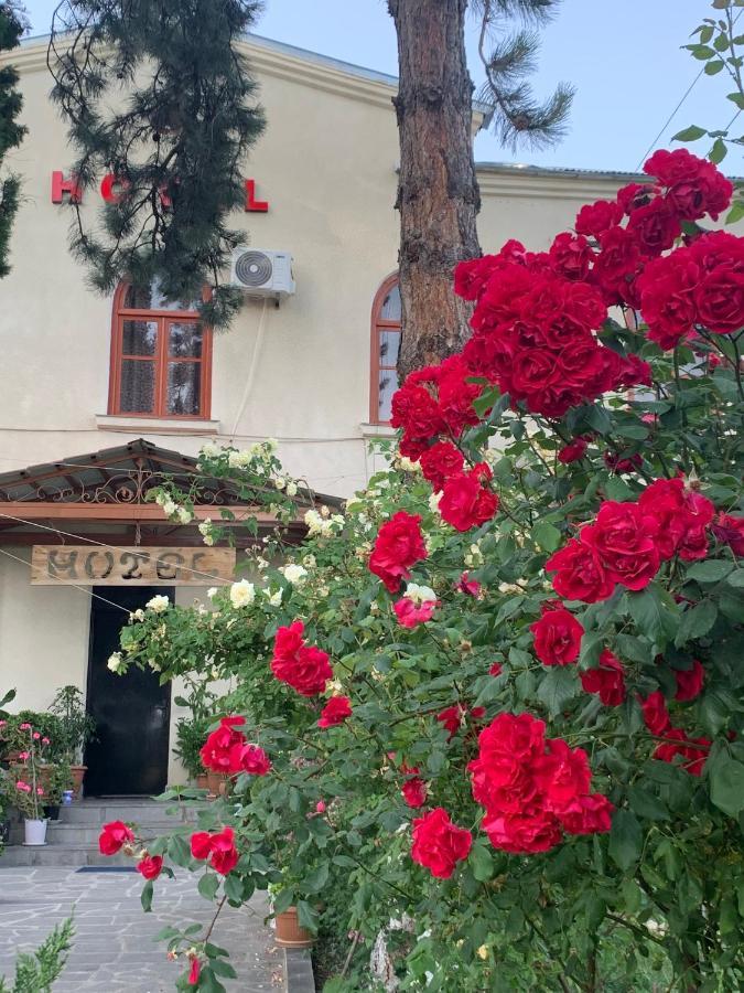 Hotel Kakhaberi Tetritskaro Εξωτερικό φωτογραφία